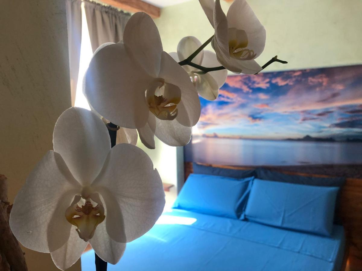 Dream & Relax Villa Fiore Бари Экстерьер фото